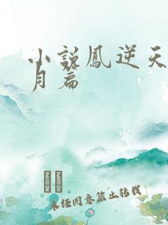 小说凤逆天下北月篇