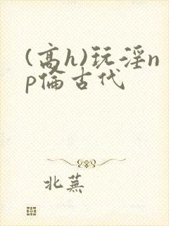 (高h)玩淫np伦古代