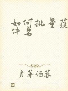 如何批量获取文件名