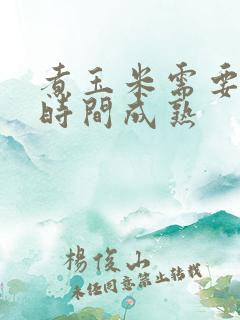 煮玉米需要多长时间成熟