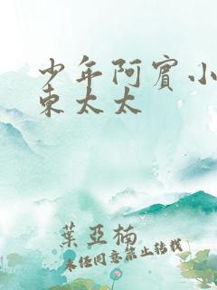少年阿宾小说房东太太