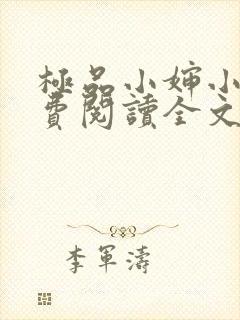 极品小婶小说免费阅读全文