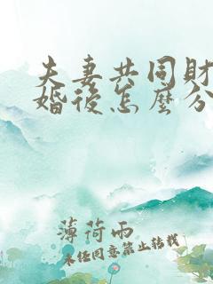 夫妻共同财产离婚后怎么分割
