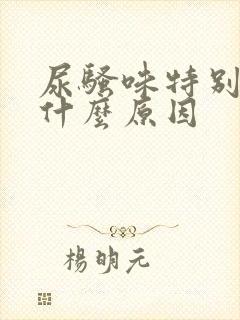 尿骚味特别重是什么原因