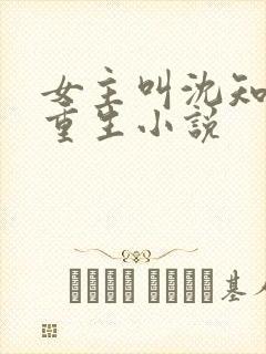 女主叫沈知鸢的重生小说
