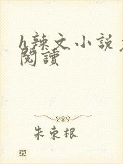 h辣文小说免费阅读