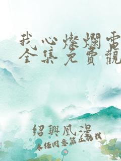 我心灿烂电视剧全集免费观看