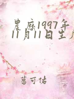 农历1997年11月11日生辰八字