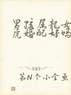 男孩属龙女孩属虎婚配好吗
