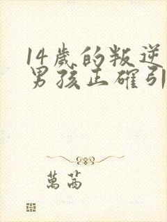 14岁的叛逆期男孩正确引导