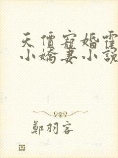 天价宠婚霍总的小娇妻小说全文免费阅读