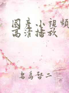 国产小视频在线高清播放