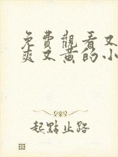 免费观看又色又爽又黄的小说