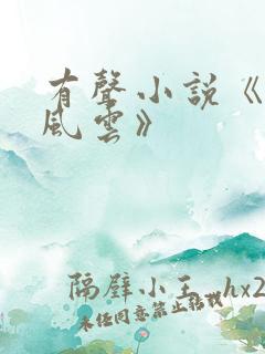 有声小说《官路风云》