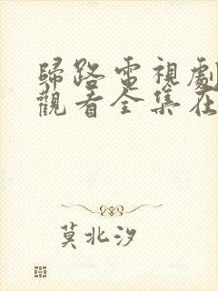 归路电视剧免费观看全集在线播放