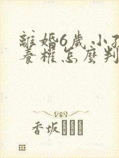 离婚6岁小孩抚养权怎么判定