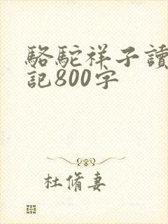 骆驼祥子读书笔记800字