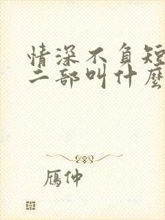 情深不负短剧第二部叫什么