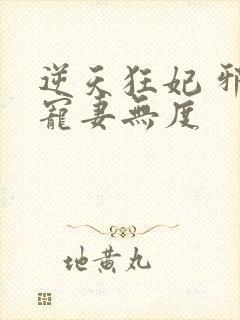 逆天狂妃 邪王宠妻无度