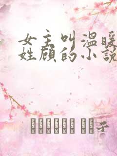 女主叫温暖男主姓顾的小说