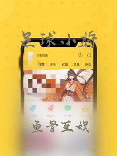 足球小将：结局+番外