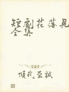 短剧花落见流萤全集