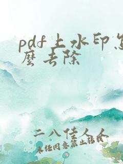 pdf上水印怎么去除