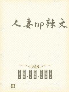 人妻np辣文