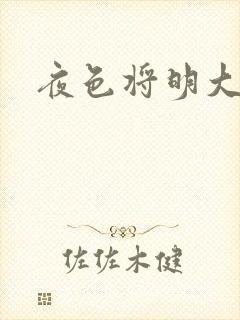 夜色将明大结局