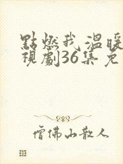 点燃我温暖你电视剧36集免费观看