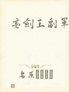 亮剑王副军长