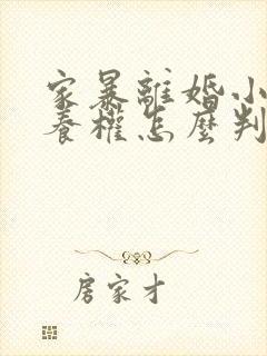 家暴离婚小孩抚养权怎么判