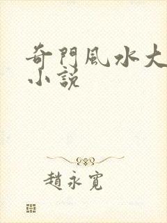 奇门风水大天师小说