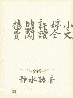 杨明许婷小说免费阅读全文最新章节