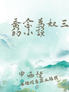 乔念为奴三年后的小说