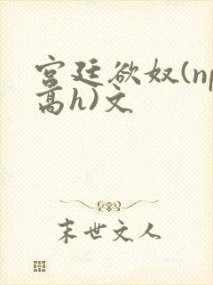 宫廷欲奴(np高h)文