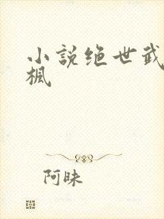 小说绝世武魂陈枫