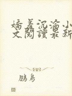 娇羞沉沦小说全文阅读最新章节更新