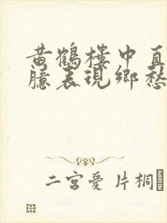 黄鹤楼中直抒胸臆表现乡愁的诗句是