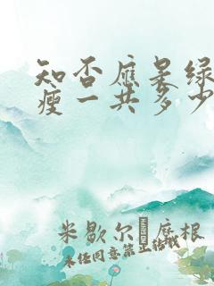 知否应是绿肥红瘦一共多少集