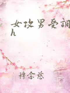 女攻男受调教高h