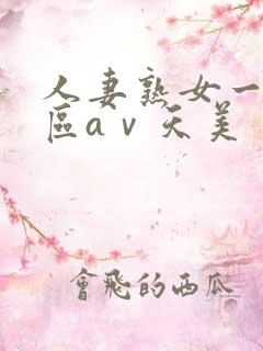人妻熟女一区二区aⅴ天美