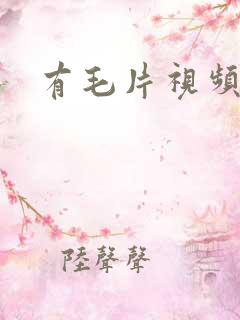 有毛片视频看不