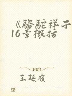 《骆驼祥子》第16章概括