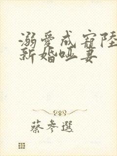 溺爱成宠陆总的新婚哑妻