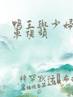 鸭王与少妇激情车视频