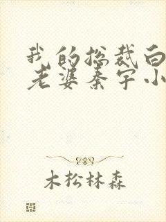 我的总裁白富美老婆秦宇小说完结版