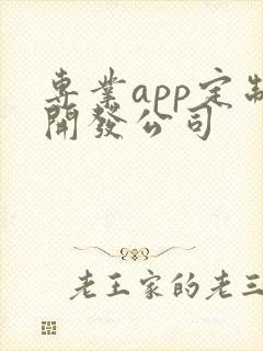 专业app定制开发公司