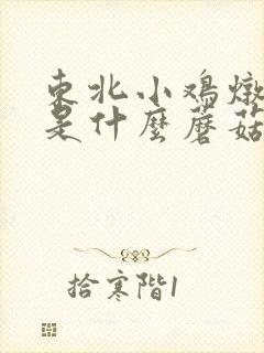 东北小鸡炖蘑菇是什么蘑菇