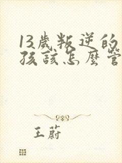 13岁叛逆的男孩该怎么管教
